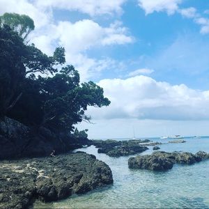 Meet your Posher, Magnolia